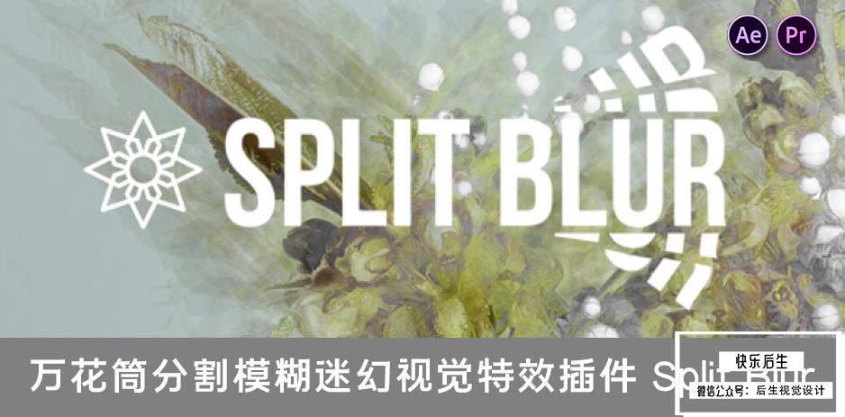 【AE/PR插件】万花筒分割模糊迷幻视觉特效 Split Blur v1.0.1 汉化中文版 支持Win/Mac插图