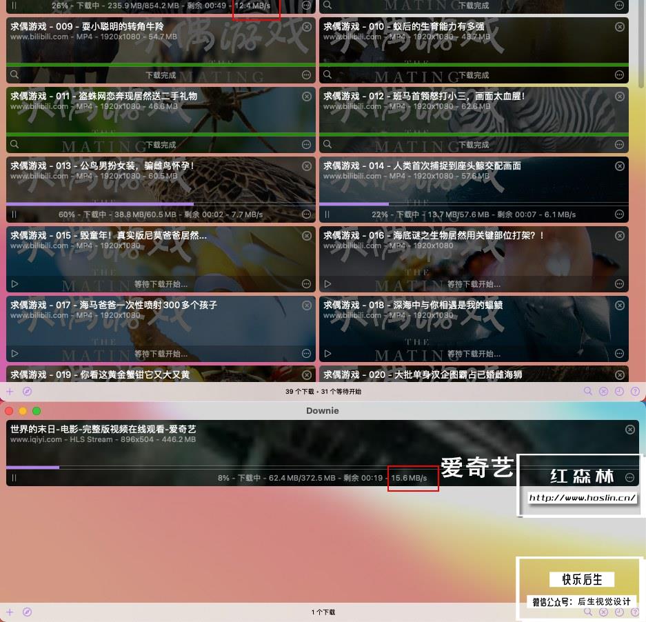 【Mac软件】Mac电脑强大好用的在线视频下载软件 Dowine 4.4.11(4373) 中文版插图(2)