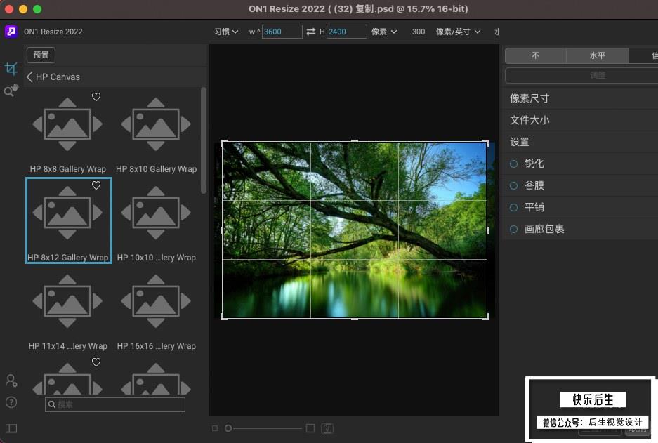 【软件/PS插件】智能AI照片无损放大软件/PS插件 ON1 Resize 2022(16.0.1.11481) Mac中文版插图(6)