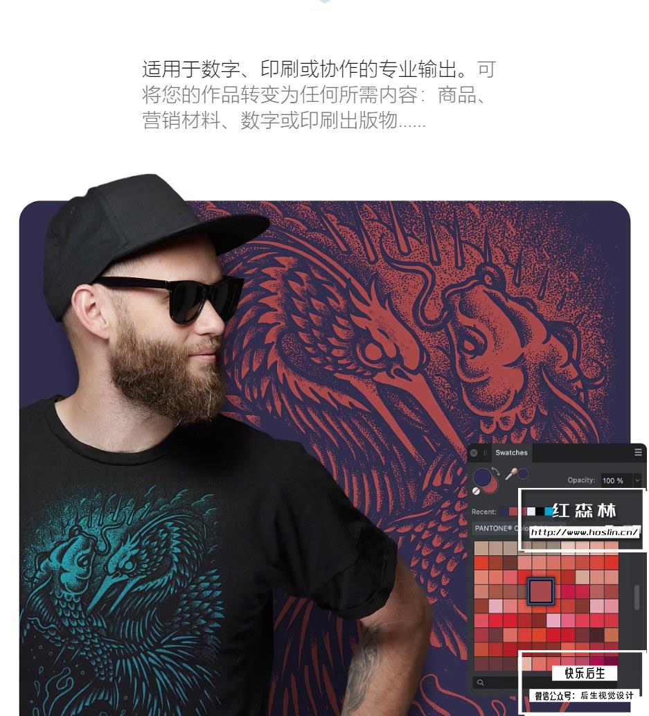 【软件】专业矢量图形设计处理软件 Affinity Designer 2（2.0.0）中文版 支持Win/Mac插图(7)