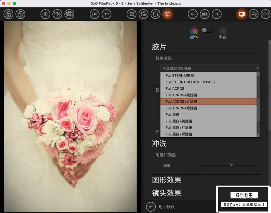 【软件/PS插件】照片摄影创意胶片模拟调色软件PS插件 D.x.O FilmPack V6.5.0.324 Mac中文版插图(2)