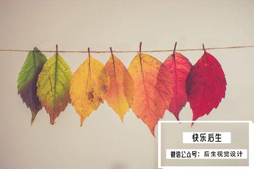 【PS插件/软件】AI智能蒙版抠像工具PS抠图插件 Topaz Mask AI v1.2.4 更新汉化版 支持Win、Mac插图(2)