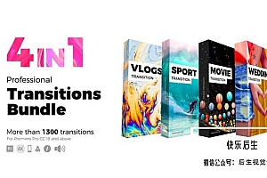 【PR模板】1300个摄像机缩放平移扭曲旋转图形干扰炫光水墨婚礼体育vlog视频转场预设 Transitions Bundle 4 in 1