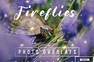 【图片素材】30张梦幻童话世界萤火虫魔法照片合成图片素材 30 Dreamy Firefly Photo Overlays