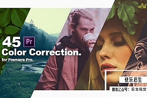 【PR预设】45组电影个性化自然黑白复古视频调色预设 Color Correction & Color Grading Presets
