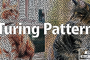 【AE插件】创意抽象图灵纹理效果AE插件 Turing Pattern v1.0 Win汉化版