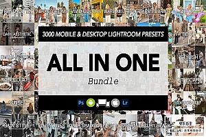 【LR预设】3000款INS时尚博客旅拍人像生活摄影调色Lightroom预设合集 All in One& 3000 Lightroom Presets Bundle