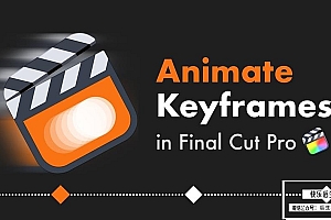 【FCPX插件】关键帧自定义缩放旋转缓入缓出动画工具 AxyMotion& EasyEase 汉化版