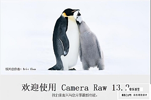 【ACR滤镜】Camera Raw 13.2 调色滤镜新增超级分辨率 Win/Mac中文版