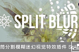 【AE/PR插件】万花筒分割模糊迷幻视觉特效 Split Blur v1.0.1 汉化中文版 支持Win/Mac