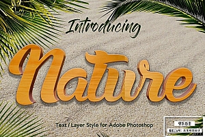 【PS样式】10种自然森林草地木纹砖墙铁锈泥土沙砾纹理PS图层样式 10 Natural Texture Text Effect