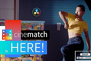 【达芬奇插件】摄像机色彩空间匹配调色OFX插件 CineMatch OFX v1.32 Win汉化版