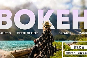 【达芬奇模板】梦幻朦胧真实镜头光效散景叠加特效 Bokeh Master