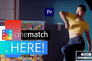 【PR插件】摄像机色彩空间匹配调色PR插件 CineMatch PP v1.41 Win汉化版