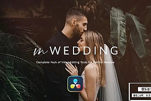 【达芬奇插件】50个爱情婚礼纪录片摄影MV视频剪辑调色转场文字标题排版动画工具包 motionVFX – mWedding