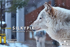 【软件】专业RAW照片处理编辑软件 SILKYPIX Developer Studio Pro 11.0.10.0 Win/Mac中文版