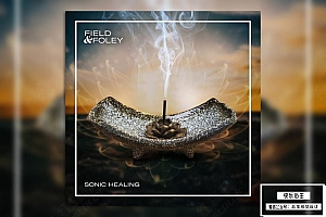 【配乐音效】242个空灵冥想治愈系沉浸式轻盈放松吟唱背景音效 Field & Foley& Sonic Healing