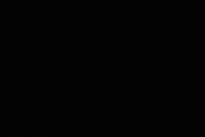 【AE模板】2021牛年春节一组AE新春联欢晚会新年字幕条合集