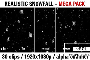 【视频素材】30个冬季下雪天飘落雪花场景特效合成循环动画素材(含透明通道)Snow& Snowfall Mega Pack