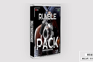 【达芬奇插件】12种真实摄像机抖动效果视频转场预设 The Rumble Pack Camera Shake 汉化版