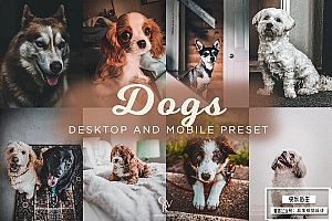 【LR预设】8款狗狗宠物摄影后期调色Lightroom预设 8 Dogs Lightroom Presets