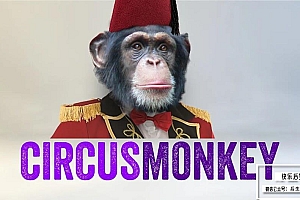 【AE脚本】个性动态文字排版3D翻转动画倒鸭子字幕脚本 CircusMonkey v1.08 + 使用教程 支持Win/Mac