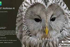 【软件/PS插件】智能AI图像降噪处理软件/PS插件  ON1 NoNoise AI 2021(16.0.0.10747)汉化中文版 支持Win/Mac