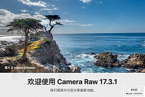 【ACR滤镜】Adobe Camera Raw滤镜 17.3.1.2227 Win/Mac中文版