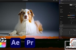 【FCPX/AE/PR插件】视频画面自动色彩色温白平衡调色工具 Auto Balancer