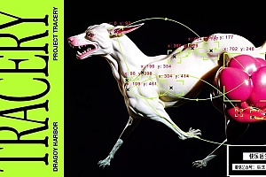 【AE插件】自动化颜色区域跟踪动态图形叠加生成特效 Tracery v1.0 Win/Mac汉化版