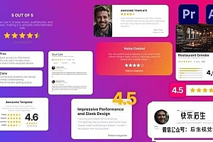 【AE/PR模板】10个商家客户服务评级打分评价动画 Review Mockups