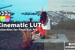 【调色预设】99款专业电影大片深邃复古风格调色预设 Cinematic LUTs Collection