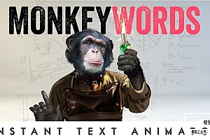 【AE脚本】文字标题自动排版快速生成动画脚本 MonkeyWords v1.00 +使用教程