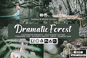 【调色预设】20款灰绿色森林摄影戏剧性情绪渲染Lightroom预设LUT预设 Dramatic Forest Presets
