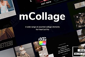 【FCPX插件】160个多样化图文视频排版组合拼贴展示宣传合成动画元素 motionVFX& mCollage 汉化版