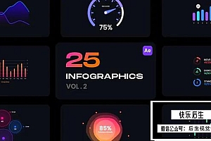 【AE模板】25个彩色精美信息数据图表动画第二季 Infographics Vol.2