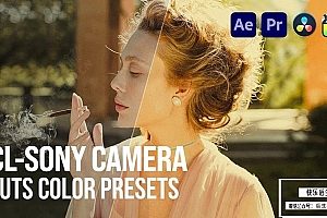 【调色预设】50款索尼相机S-Log视频照片摄影调色LUT预设 Pixflow& CL-SONY