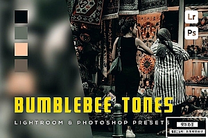 【LR预设】6款黑暗复古人像旅拍摄影后期调色Lightroom预设 6 Bumblebee tones Lightroom and Photoshop Presets