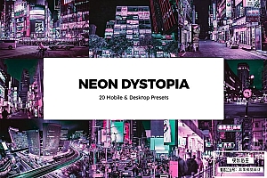 【调色预设】电影银翼杀手风格夜色灯光霓虹赛博朋克艺术色彩摄影调色Lightroom预设LUT预设 20 Neon Dystopia Lightroom Presets