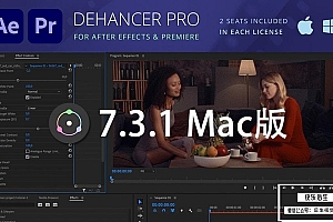 【AE/PR插件】复古电影胶片灼烧光效噪点颗粒视觉特效 Dehancer Pro 7.3.1 Mac版