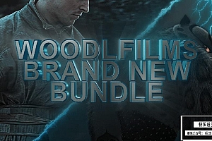 【AE预设】40款视频扭曲变焦缩放平移闪烁抖动转场过渡变速放大文本特效预设套装 Woodlfilms Brand New Editing Bundle