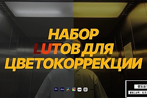 【调色预设】 40+复古胶片电影艺术色彩美学青绿暖黄午夜冷雾摄影视频调色预设 MLSHV& LUTs PACK