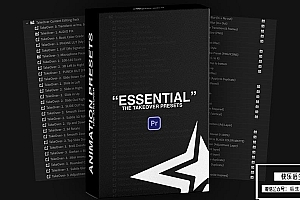 【PR预设】30个视频镜头图文运动色彩分级音频增强预设包 Chris Boustedt& Essential Movement FX