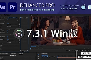 【AE/PR插件】复古电影胶片灼烧光效噪点颗粒视觉特效 Dehancer Pro 7.3.1 Win版
