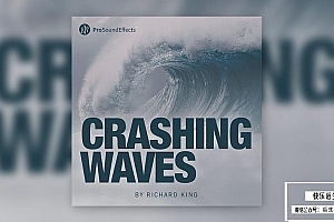 【配乐音效】28个真实录制沉浸式海浪波浪环境背景音效 Pro Sound Effects& Crashing Waves