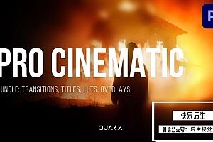 【PR模板】专业电影视频文字标题转场调色梦幻光效叠加动画 Pro Cinematic Bundle for Premiere Pro