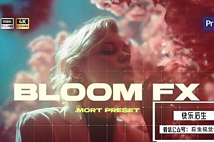 【PR模板】梦幻优雅柔和电影级光晕视频叠加效果 Bloom FX Overlay