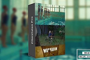 【调色预设】数码摄影还原模拟电影胶片印刷调色LUT预设达芬奇PowerGrades节点预设 ShopMoment& FilmVision Pro