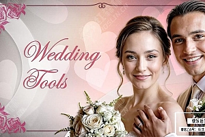 【FCPX插件】36个优雅浪漫爱情婚礼视频效果转场字幕工具包 Motion Galaxy& Wedding Tools 汉化版