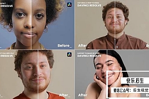 【达芬奇插件】人像皮肤修饰肤色平滑美容工具 Skin Retouch Effect Davinci Resolve 汉化版